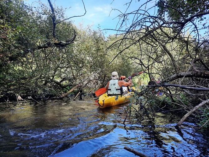 NANTES ATLANTIQUE CANOË KAYAK