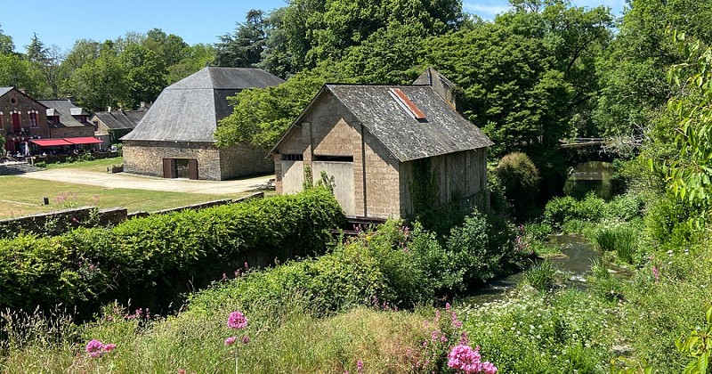 SITE DE LA FORGE NEUVE