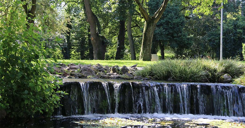 PARC DE RADEVORMWALD