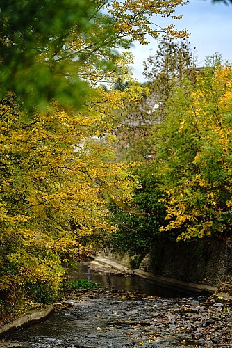 MTFA_HARGIMONT_21102020_018