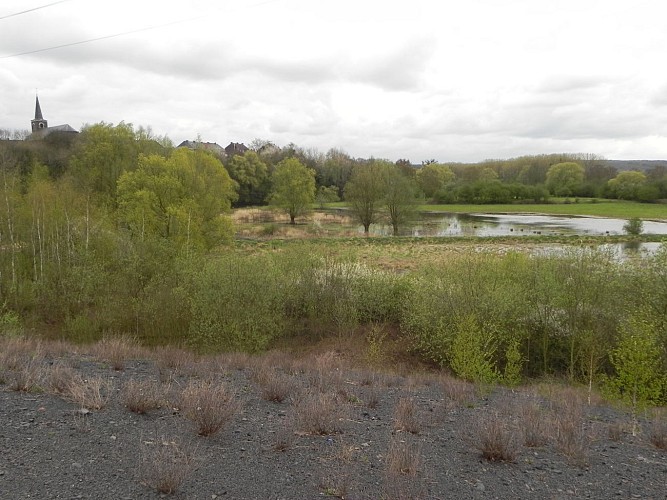 Vue du terril à Moignelée