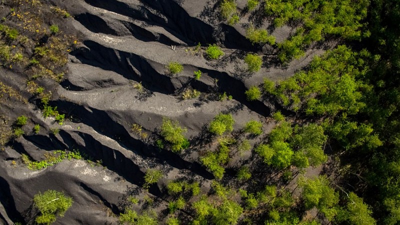 MTSO_TERRILS_02072019_0016