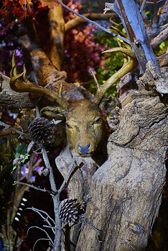 Maisonparra© (3) - Sirt