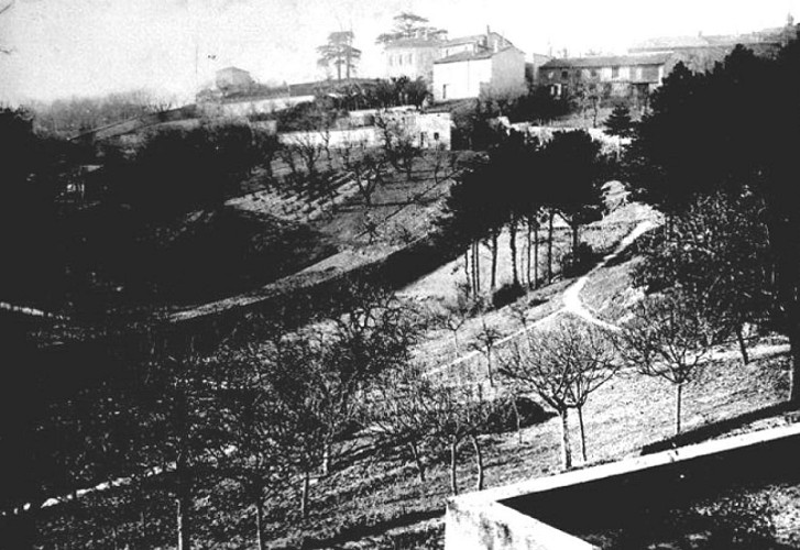 Colline avec oliviers avant les fouilles