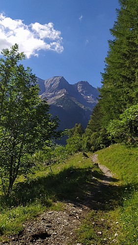 Image du circuit