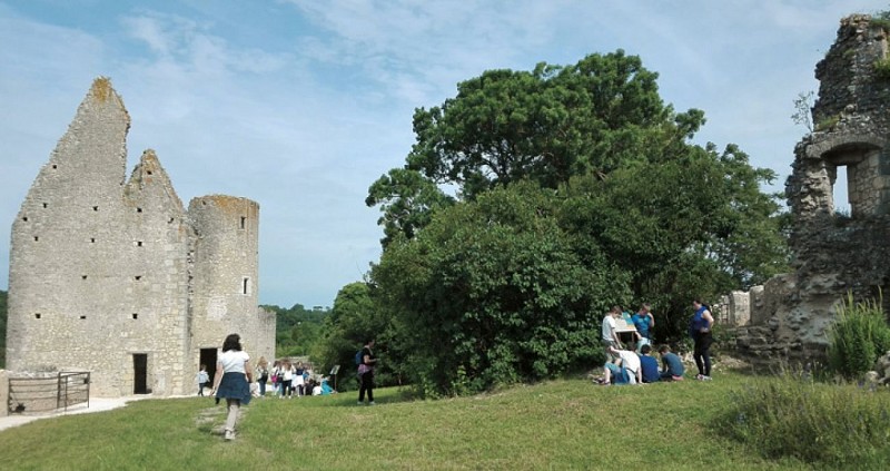 Forteresse d'Angles-sur-l'Anglin