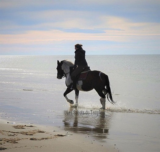 LES SABOTS DU TEMPLE AU PORGE OCEAN