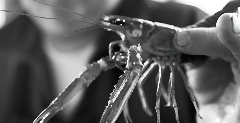 Chez Marinette Trouville_4