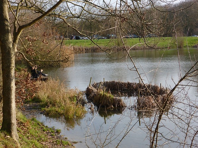 Etang de Meudon