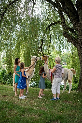 19 - Randonnée avec un lama WEB - Expériences Famille 2023 ©Amélie.R-photographies-Pomme Verte