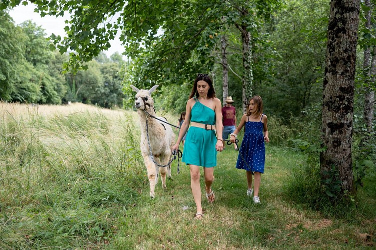 02 - Randonnée avec un lama WEB - Expériences Famille 2023 ©Amélie.R-photographies-Pomme Verte