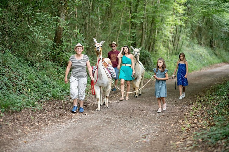 08 - Randonnée avec un lama WEB - Expériences Famille 2023 ©Amélie.R-photographies-Pomme Verte