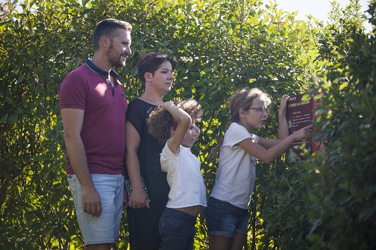 Ecolaby_VS_Cradolaby-Filmsetimages.fr-13102