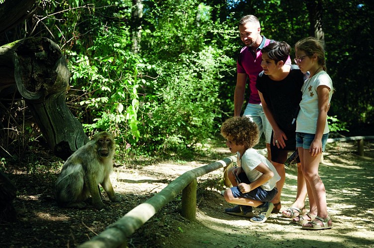 L_Aventure_De_Kaya_a_la_Vallee_des_singes