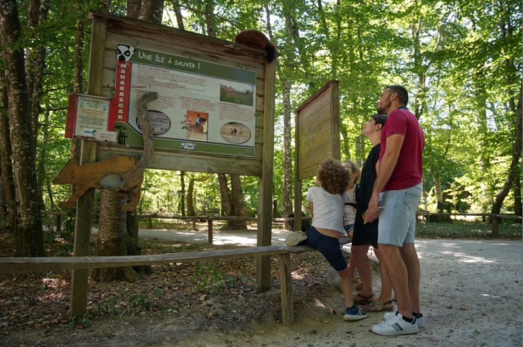 L_Aventure_De_Kaya_a_la_Vallee_des_singes