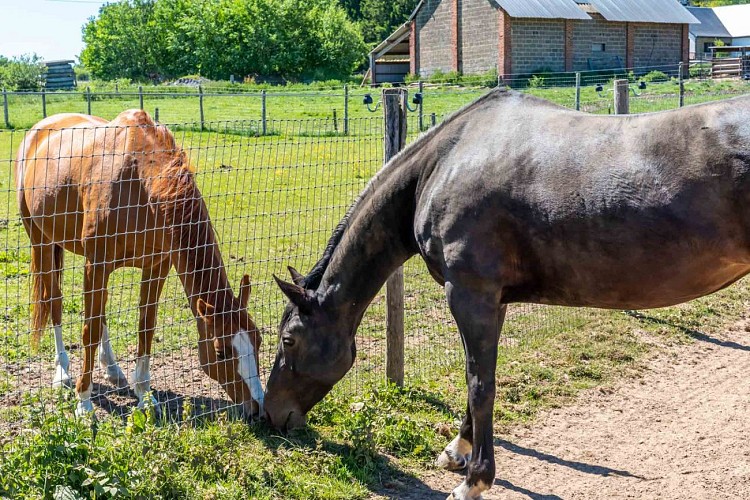 Domaine_de_Wisbeley-133