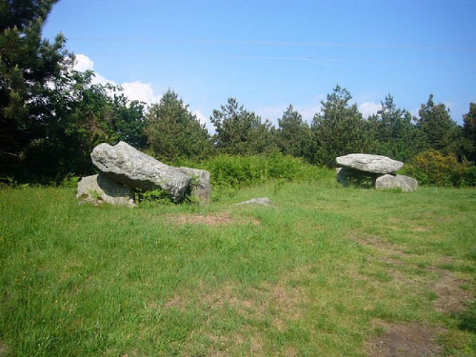 Site mégalithique de Kervadol