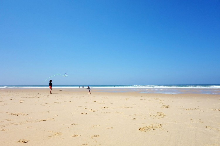 Plagiste-Lacanau------Medoc-Atlantique--1-