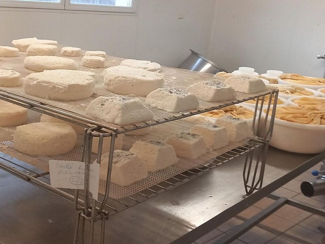 Barinque Fromagerie L'entre deux cph Fromagerie avril 2023 (3)