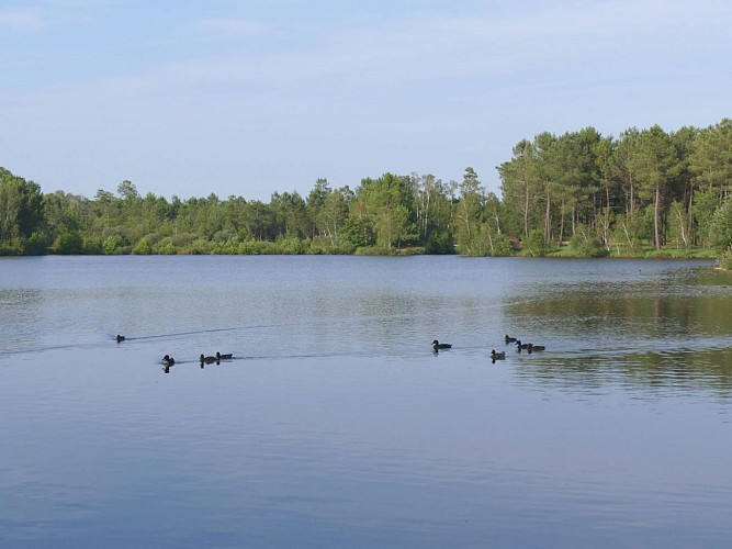 Lake Baron Desqueyroux in Montendre