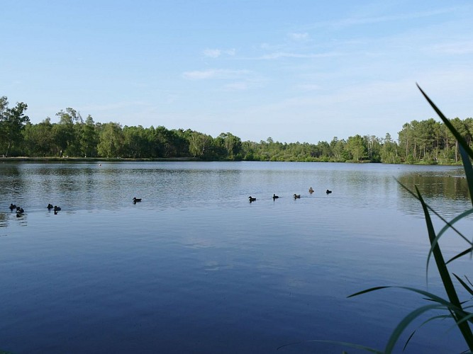 Lake Baron Desqueyroux in Montendre