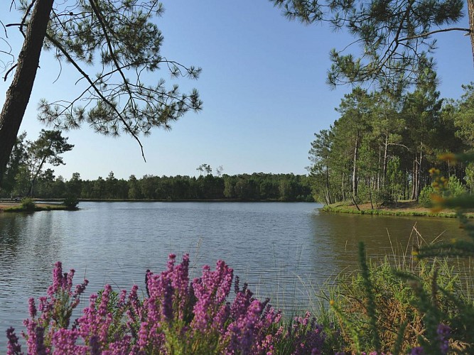 Lake Baron Desqueyroux in Montendre