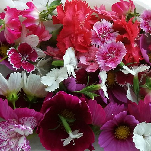 39454676_248602549122480_698688245872984064_n