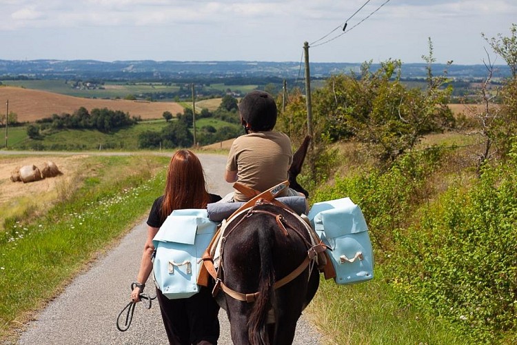 rucher des anes 1 RIEUX