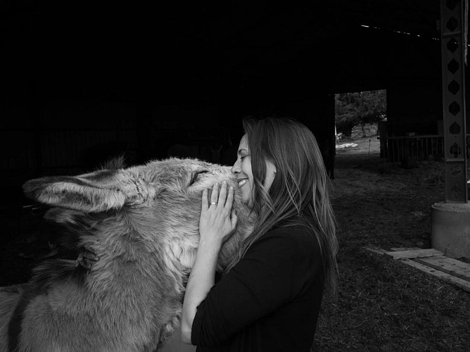 rucher des anes 7 RIEUX