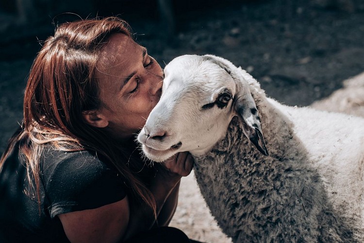 Rucher des anes 5 RIEUX