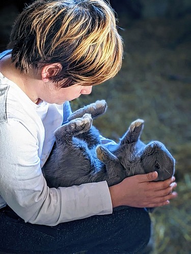 rucher des anes 5 RIEUX