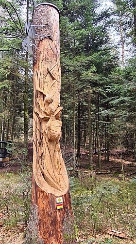 montagne des fourmis