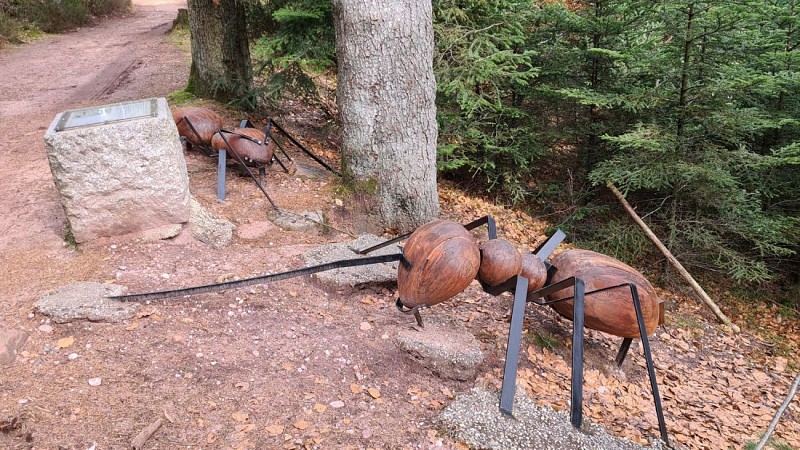 montagne des fourmis