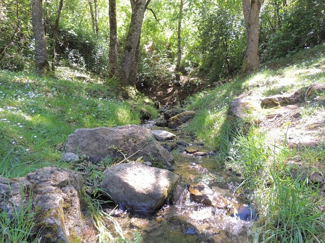 La source de l'Aveyron