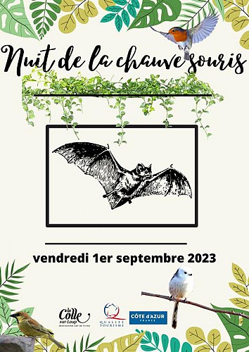 Nuit de la Chauve Souris