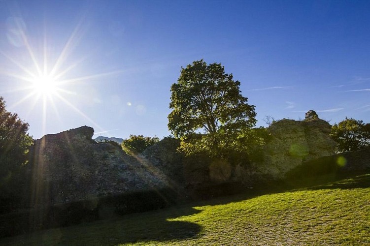 Ancien rempart de Die