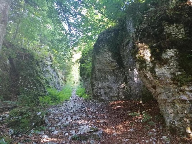 Point d'intérêt naturel Canyon Lansenvercors