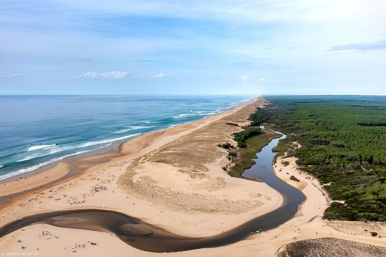 L'Embouchure du Courant d'Huchet_Moliets_Landes Atlantique Sud