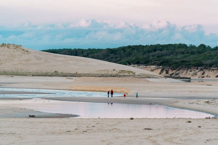 L'Embouchure du Courant d'Huchet_Moliets_Landes Atlantique Sud