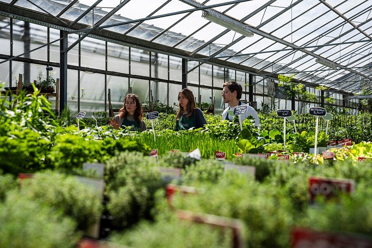 Atelier nature avec Mendi, le jardin de tous