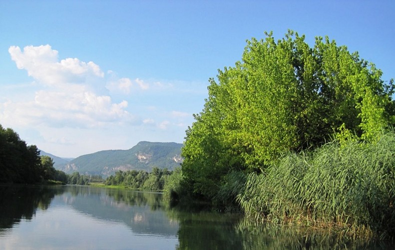 Nature reserve of "Haut-Rhône Français"