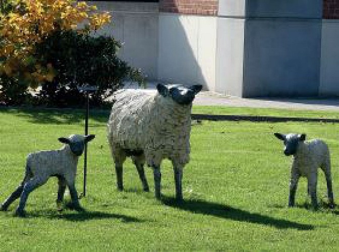 Moutonne et agneaux