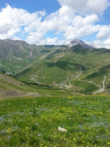 Col d'Allos