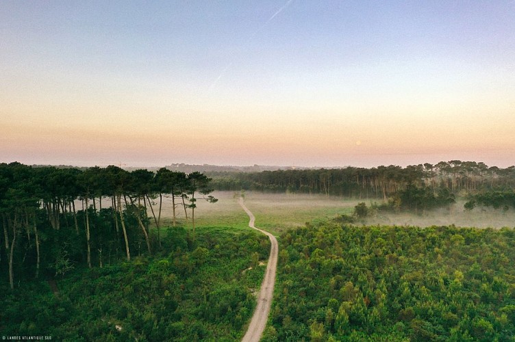 Territoire Engagé-Labenne-Foret-Sunrise-©OTI_LAS-2