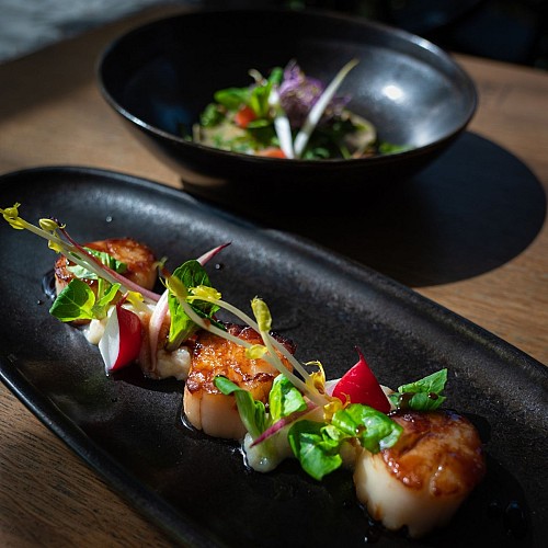 Cocotte Belge - Brasserie Moderne 4