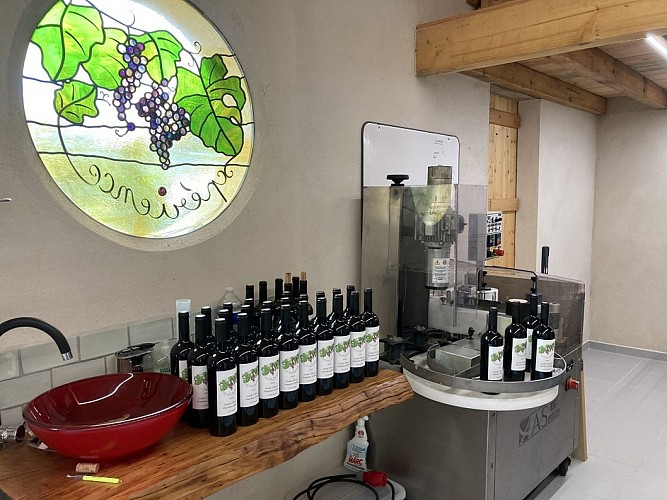 Vin-Expérience-Villefranche-de-lonchat-bouteilles-chai