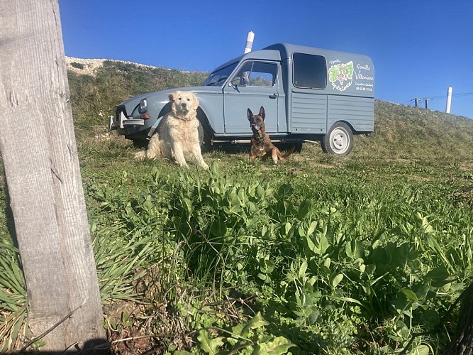 Vin-Expérience-Villefranche-de-lonchat-voitures