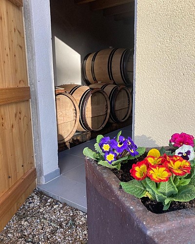 Vin-Expérience-Villefranche-de-lonchat-chai-fleurs