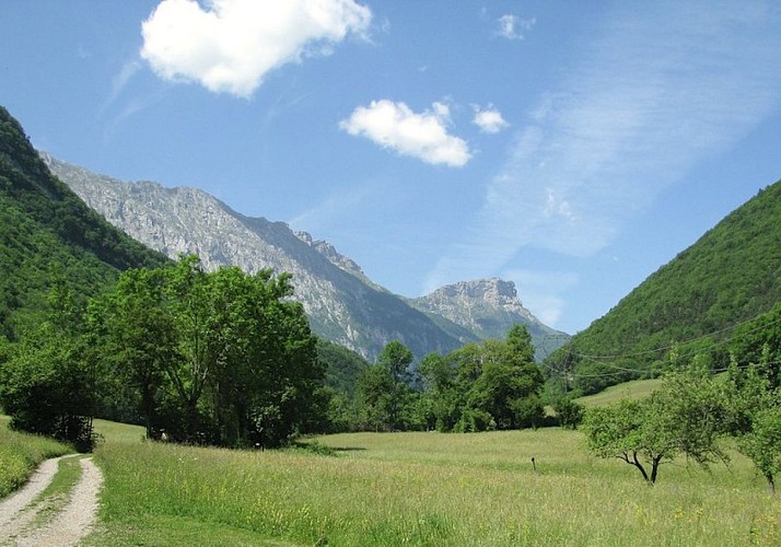 Vue du chemin menant à l'Échaillon