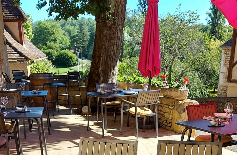 les cèdres Saint Marcel du Périgord 6